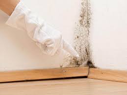 Reliable Oroville, CA Mold Remediation Solutions